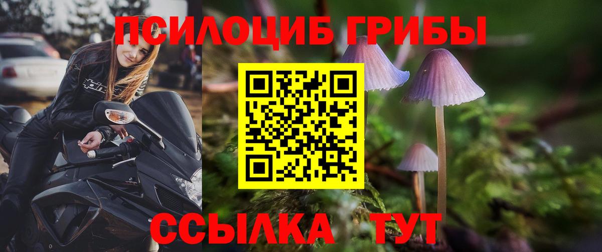 Галлюциногенные грибы Magic Shrooms Ханты-Мансийск